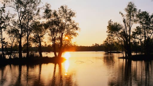 This is the wildlife refuge at Lake Fausse Pointe State park at sunset. The cypress trees are growing all around the lake and on islands in the water.