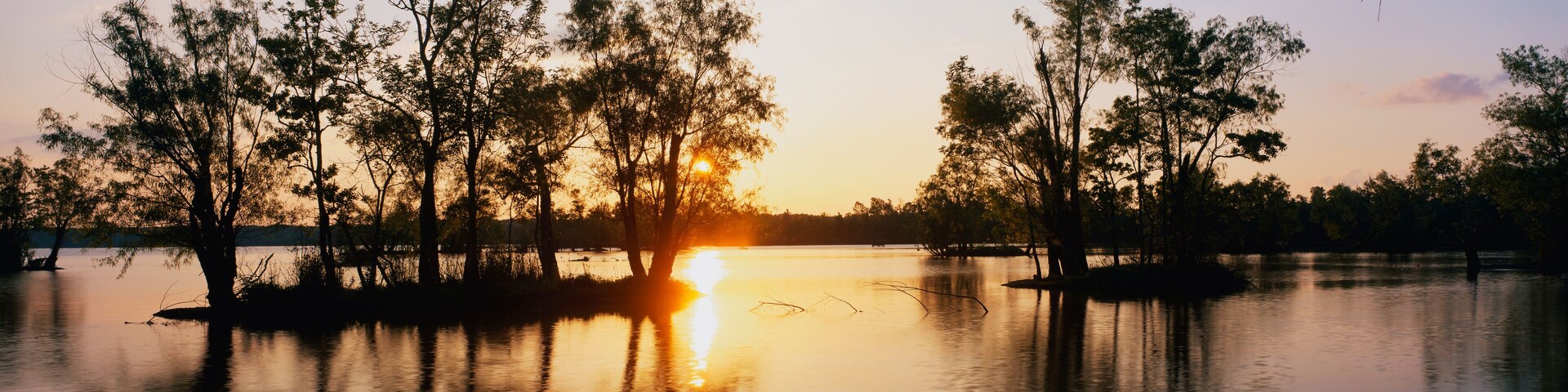 This is the wildlife refuge at Lake Fausse Pointe State park at sunset. The cypress trees are growing all around the lake and on islands in the water.