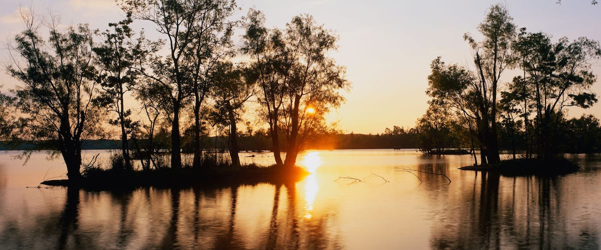 A sunset over a calm lake with trees silhouetted against the sky.
