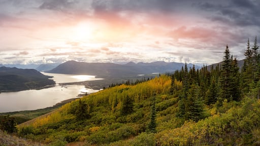 Yukon