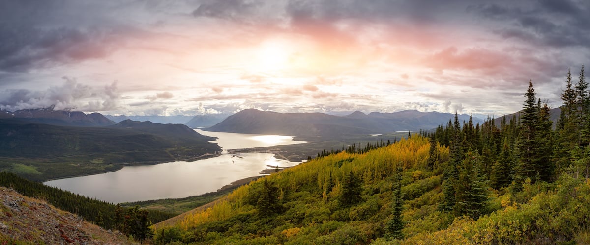 Panoramic View of Colorful meadow fields on top of Nares Mountain during fall season. Located in Carcross, near Whitehorse, Yukon, Canada. Nature Background Panorama
