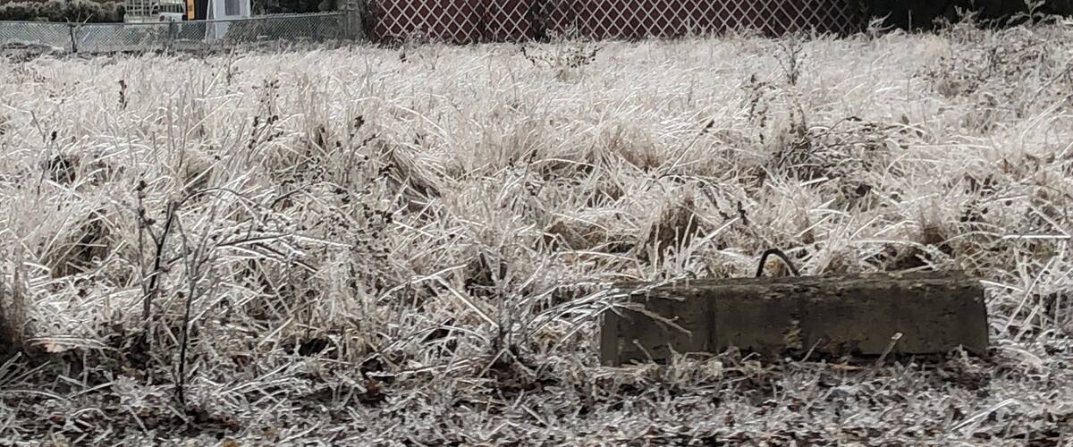 Ice