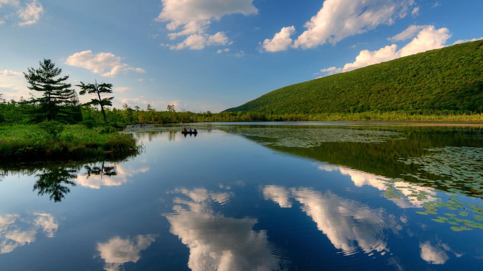 A calm lake with reflections of clouds and trees, surrounded by a lush green hillside.