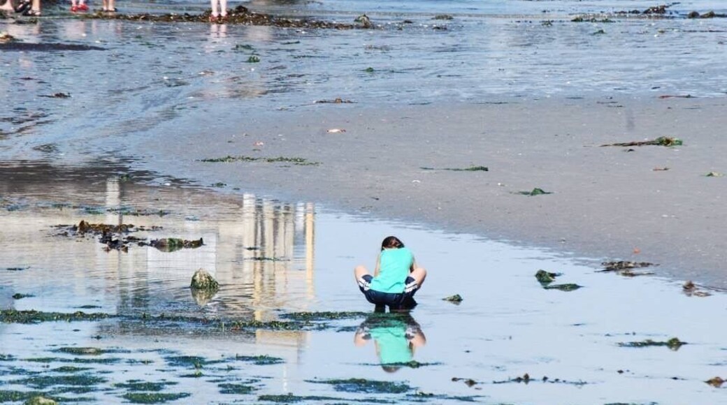 The ferry dock is a wonderland of debris at low tide and I didn’t have to drive too far from home. #lifeatexpedia