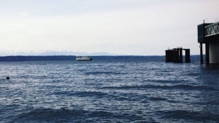 Come here to relax and maybe take some pictures before or after checking out the restaurants/shops in the "downtown" area. The Edmonds farmers market is a great Saturday event