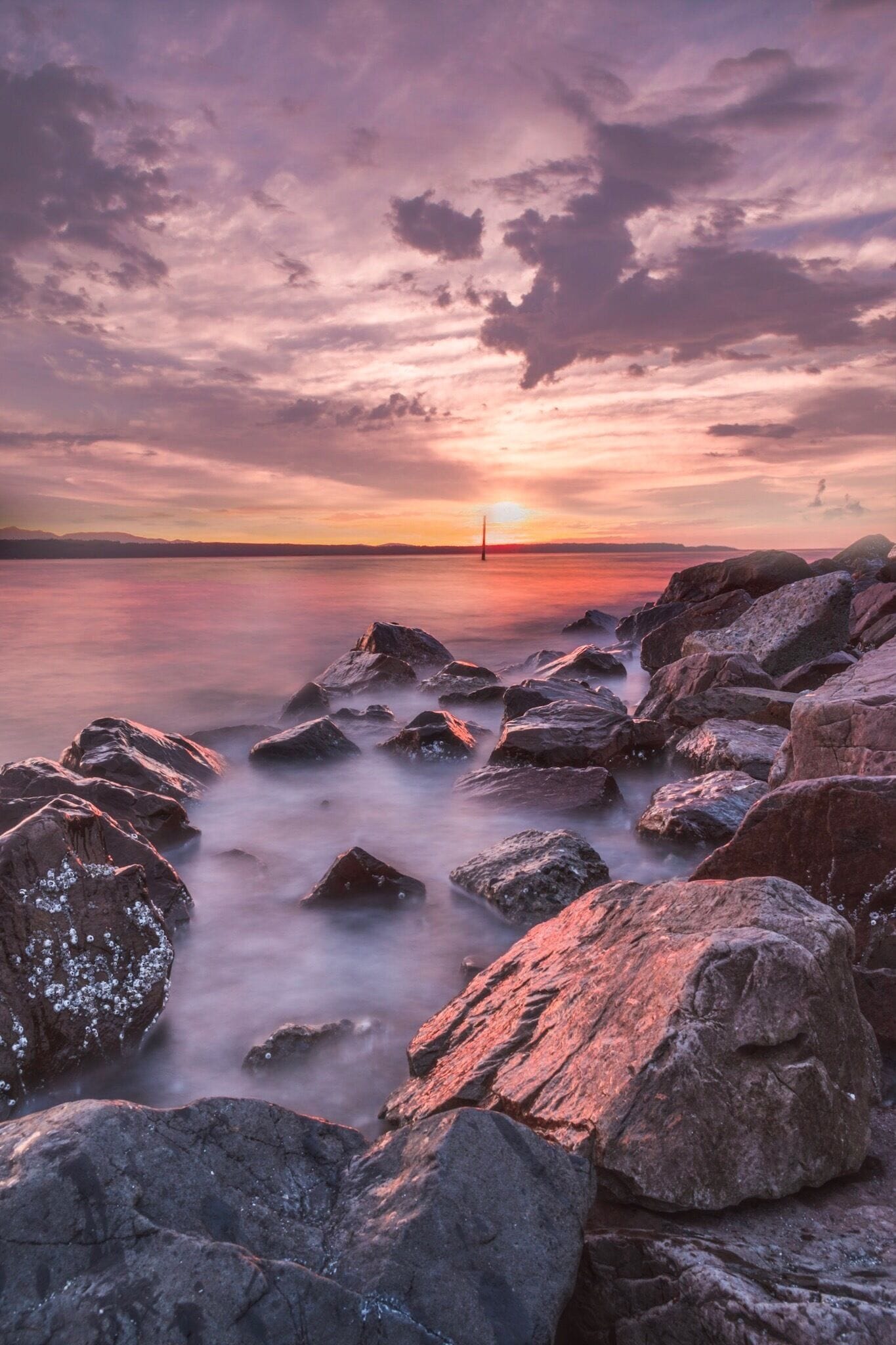 #sunset in Edmonds, WA
#goldenhour
#LikeALocal 
#golden