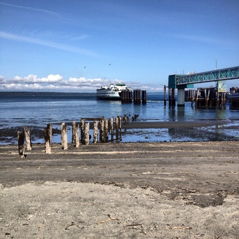 Have some time? Sit on a log and listen to the waves, watch a ferry arrive and/or leave.