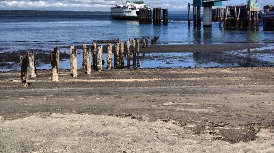 Have some time? Sit on a log and listen to the waves, watch a ferry arrive and/or leave.