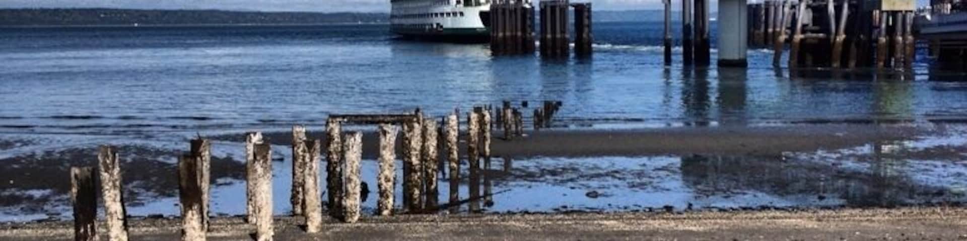 Have some time? Sit on a log and listen to the waves, watch a ferry arrive and/or leave.