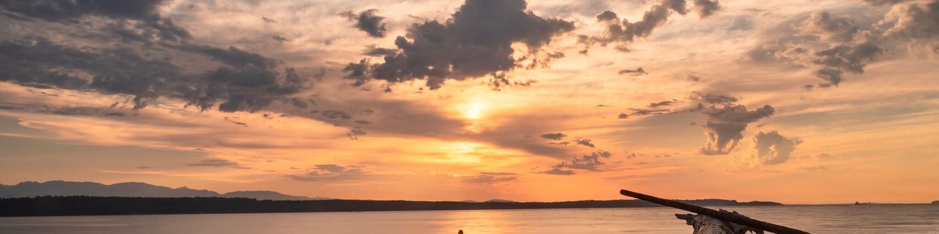 #sunset in Edmonds, WA
#LikeALocal #golden