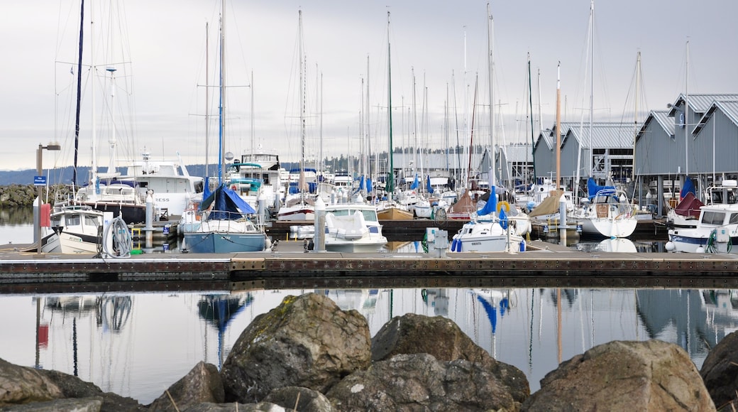 Yachthafen Puget Sound