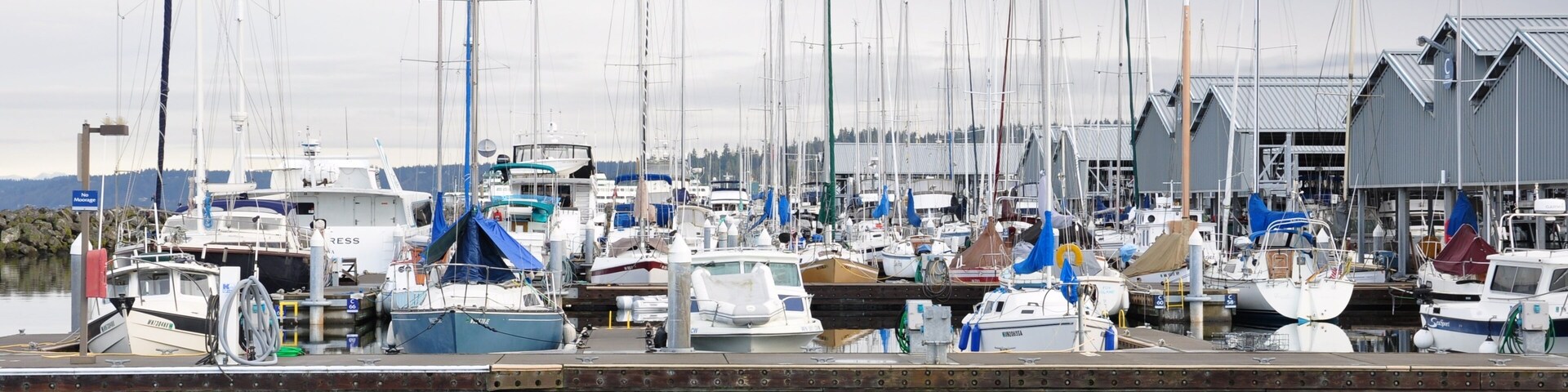 A marina with numerous sailboats docked, a rocky shoreline, and a building with a metal roof in the background.