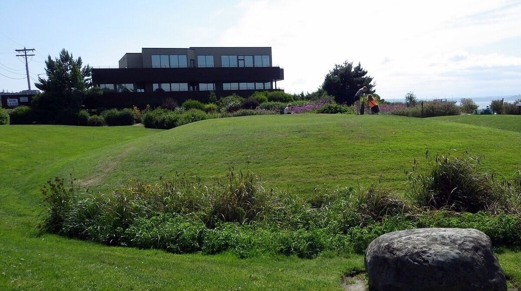 A cool park by the ferry.