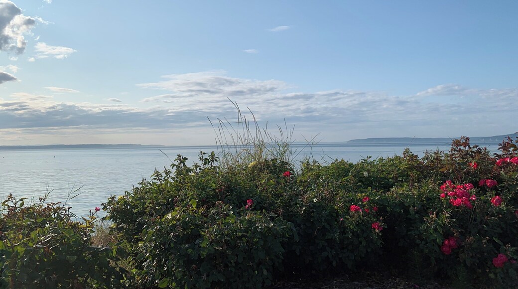 Street parking, no actual beach access, plenty of benches and places to stop and admire the view. Near the Edmonds ferry.