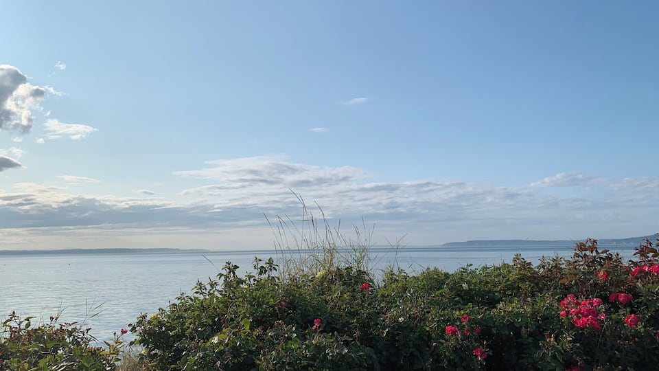 Street parking, no actual beach access, plenty of benches and places to stop and admire the view. Near the Edmonds ferry.