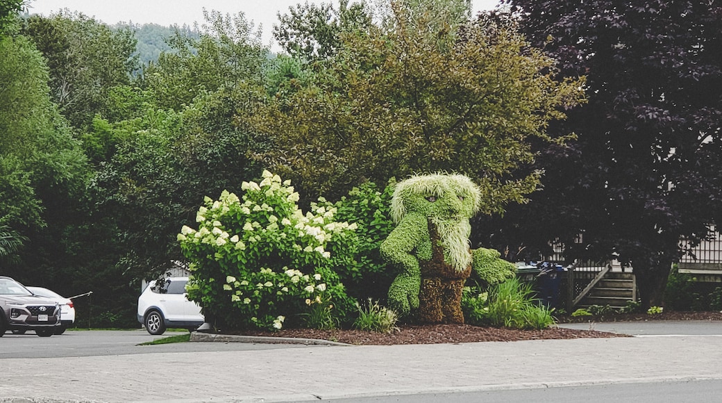 Also beside Chantal Steak house is this little garden dweller. Blink and you may miss him.