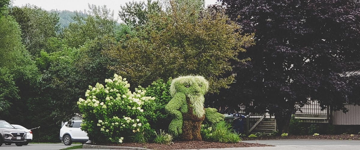 Also beside Chantal Steak house is this little garden dweller. Blink and you may miss him.