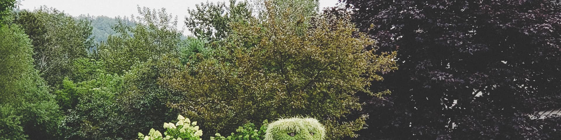 Also beside Chantal Steak house is this little garden dweller. Blink and you may miss him.