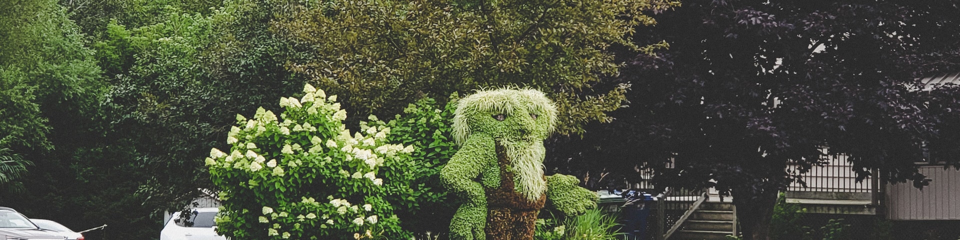 Also beside Chantal Steak house is this little garden dweller. Blink and you may miss him.