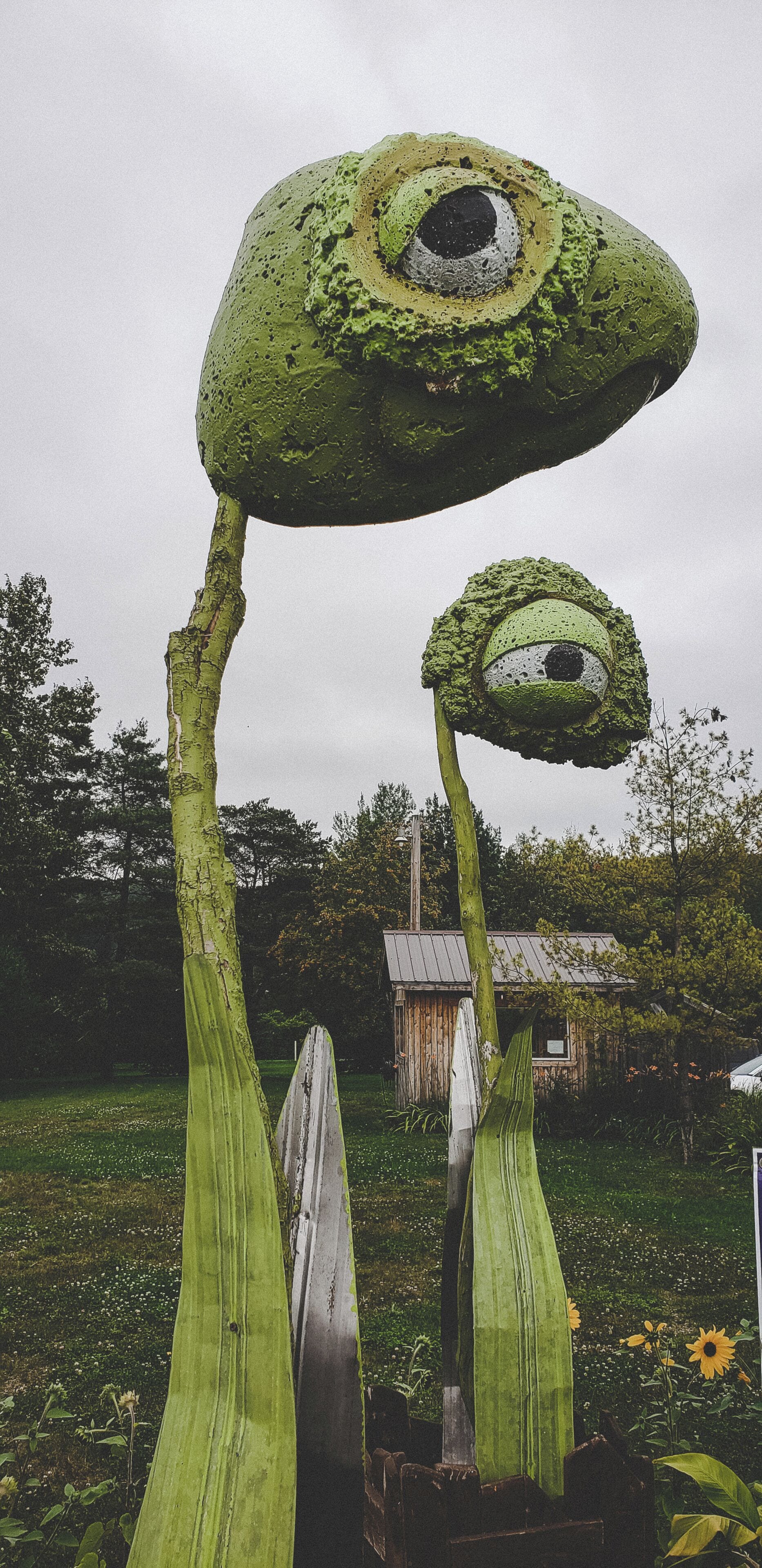 Beside Chantal Steak House in New Brunswick were these cute little fella's I just had to share. There is nothing I love more than road side art. 