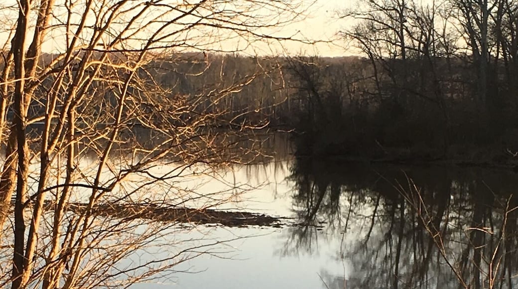 Another Indian head rail trail picture ❤️