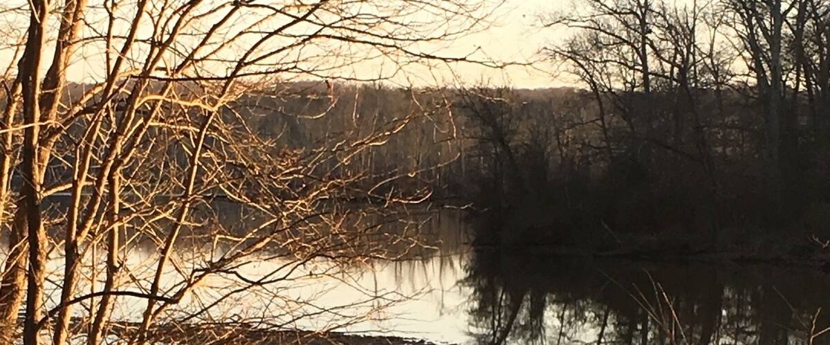A person standing by a calm lake surrounded by leafless trees and bushes.