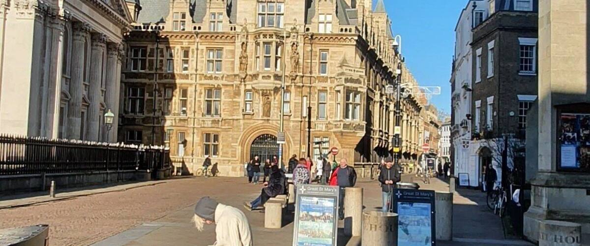Sunny day in January