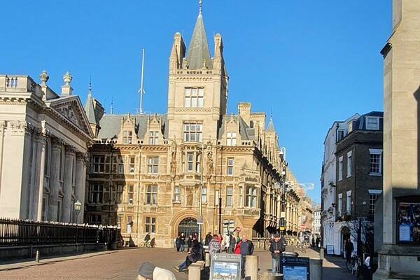 Sunny day in January