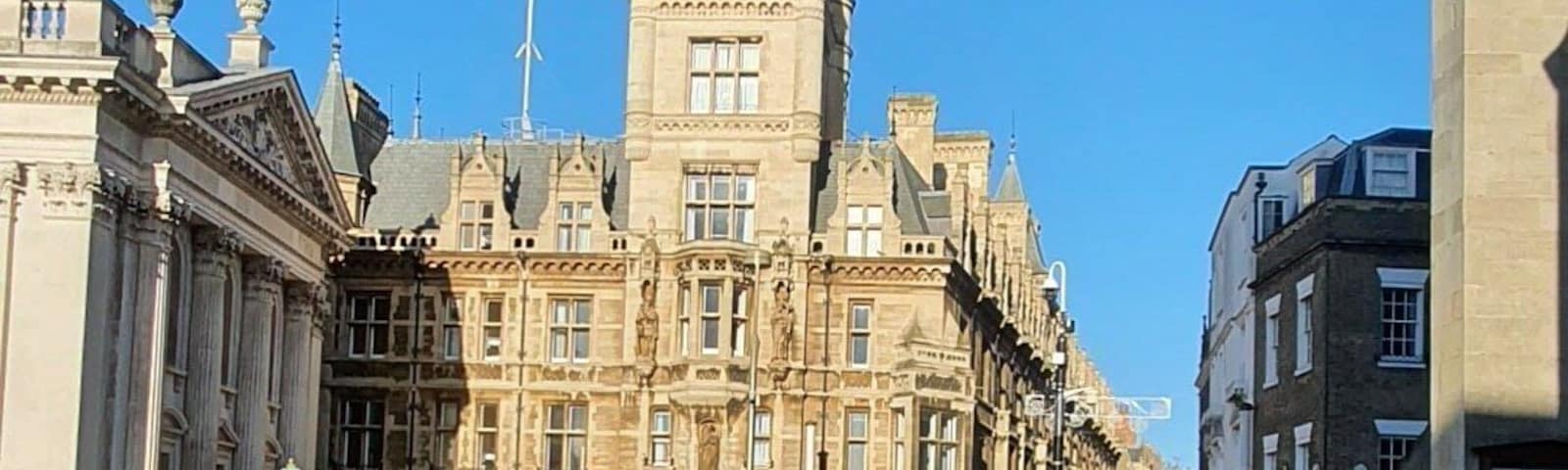 Sunny day in January