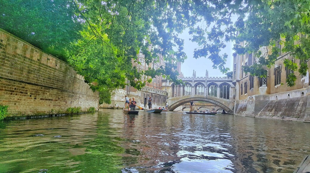 Bridge of Sigh.... Got its names as stuDent Sigh when going to class and cross it or come out of the class after finishing!
Wonderful experience punting on river Cam
