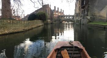 Punting for sceneries.