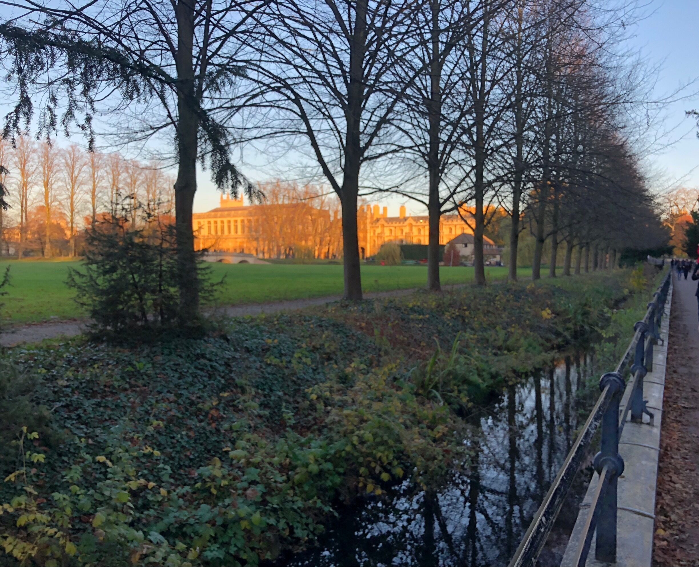 A lovely autumn day walking through the backs in Cambridge