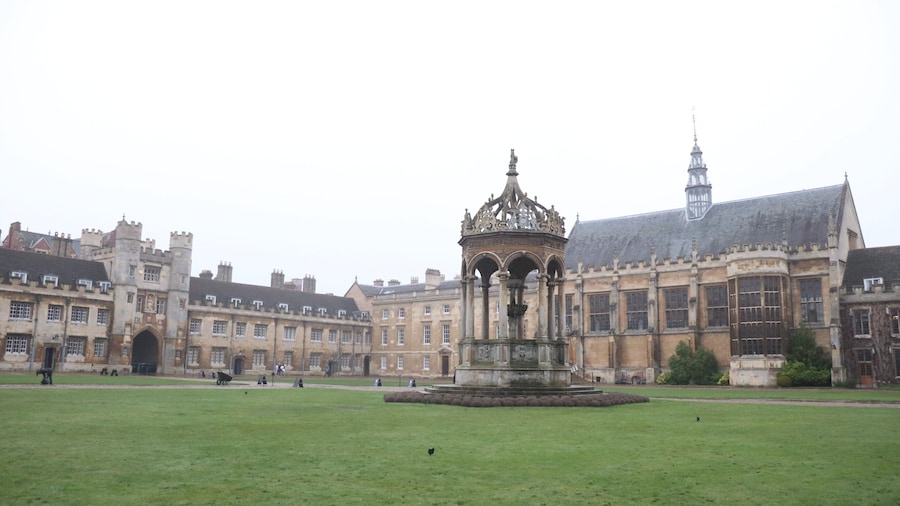 Trinity College, Cambridge University