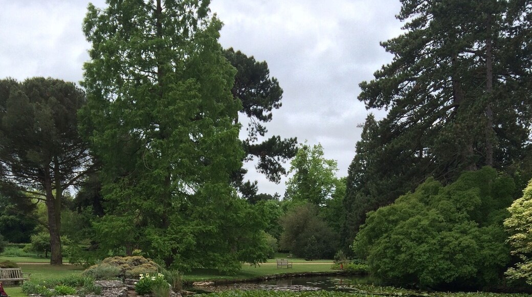 Lovely walk around the park