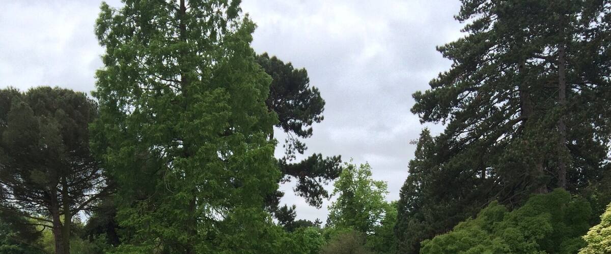 Lovely walk around the park