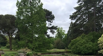 Lovely walk around the park