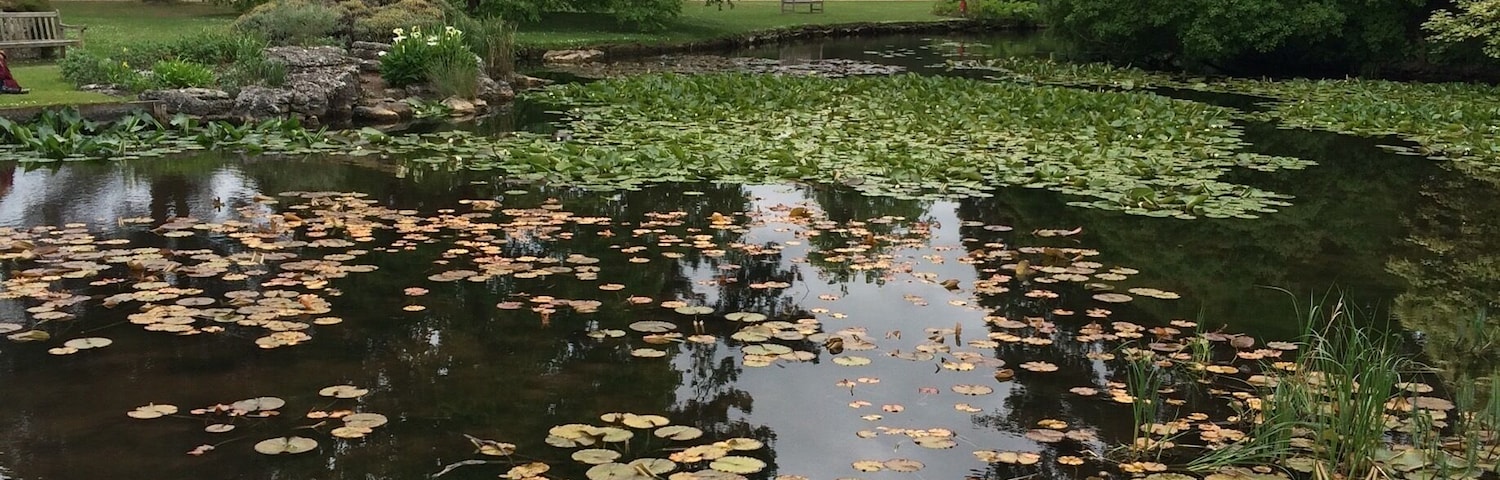 Lovely walk around the park