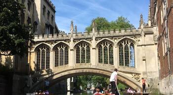 Sunny day down the cam in my home city! Beautiful city in the summer time