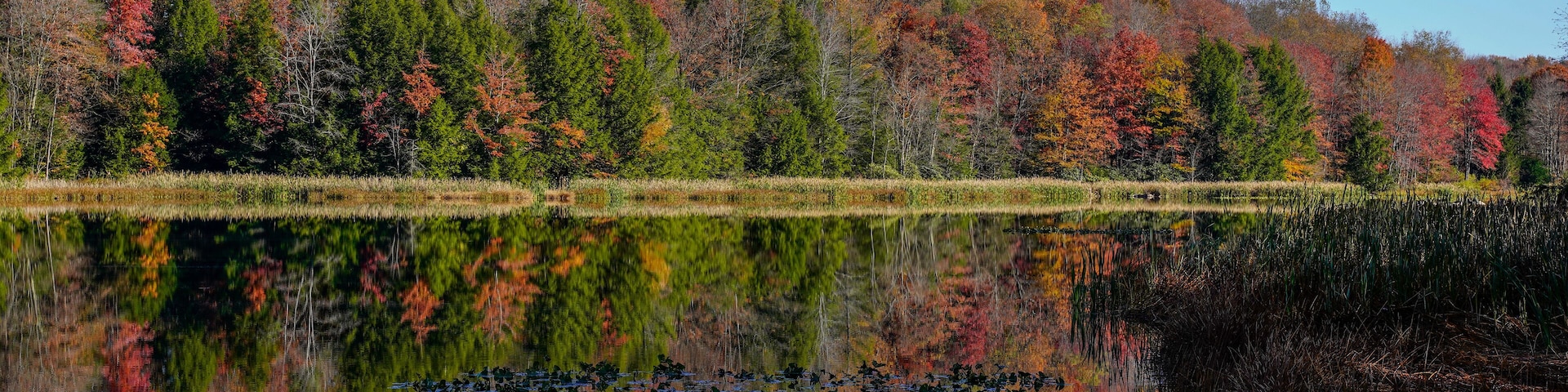 Beautiful fall day at Duman Lake County Park in Western Pennsylvania. Colorful trees along one side of the lake. Amazing reflection of the trees on the water.