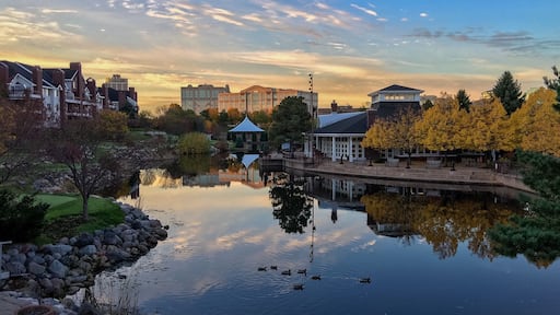 Nice little lake to walk around. They have paddle boats to rent, golf, a bandshell, farmers market, summer movie nights, and ice skating in the winter.
#StunningStructures