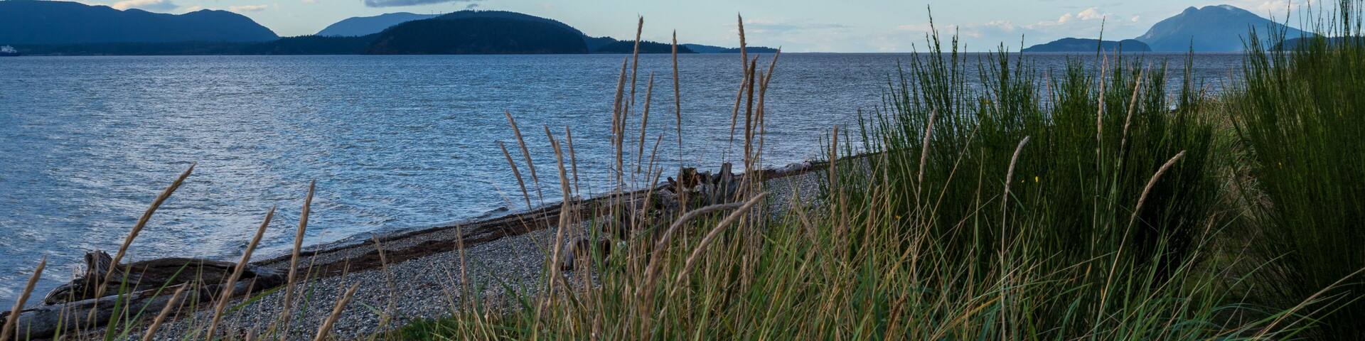 Beautiful evening view of cloudy sky at Padilla State Park, Washington, USA.