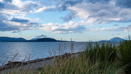 Beautiful evening view of cloudy sky at Padilla State Park, Washington, USA.