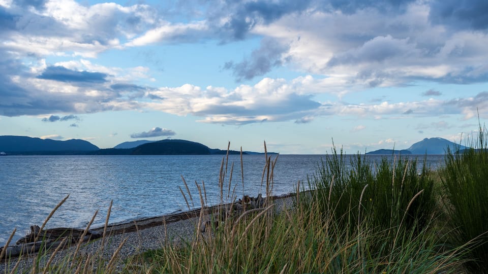 A calm lake with mountains in the distance, surrounded by tall grasses.