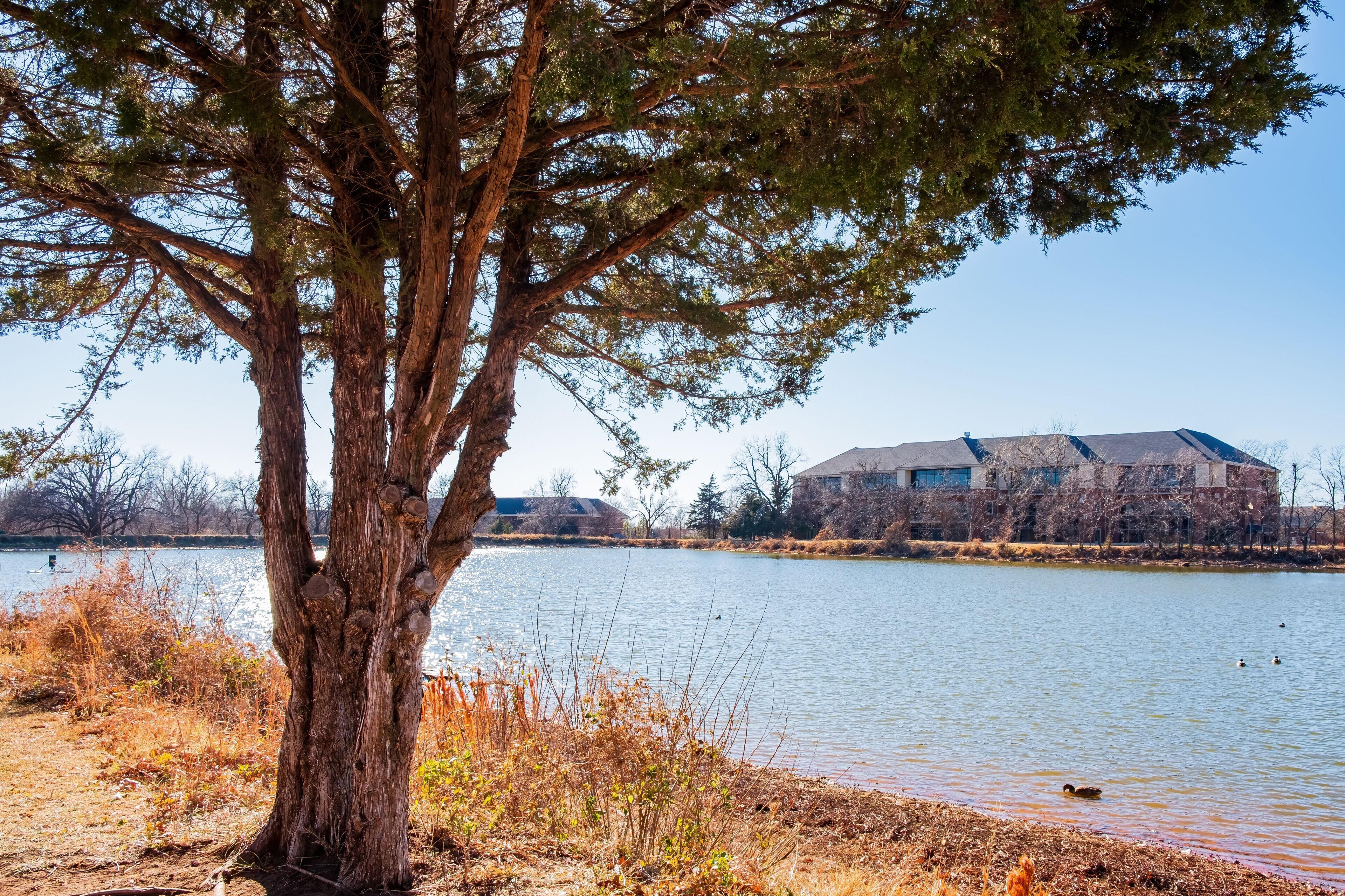 Sunny view of the landscape along the Eagle trail in Oklahoma Christian University