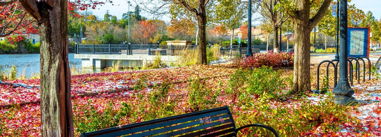 Un banco en un parque rodeado de hojas otoñales, árboles y un cuerpo de agua.