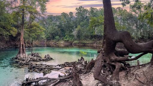 Madison Blue Springs at Sunset, Madison Blue Springs State Park, Florida