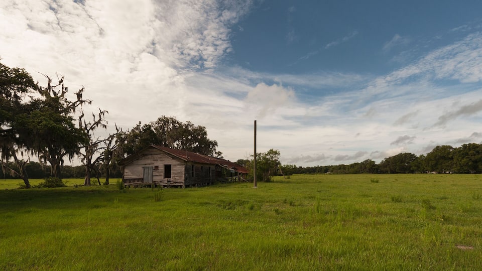 A rural landscape with a dilapidated wooden house surrounded by lush green fields and trees.