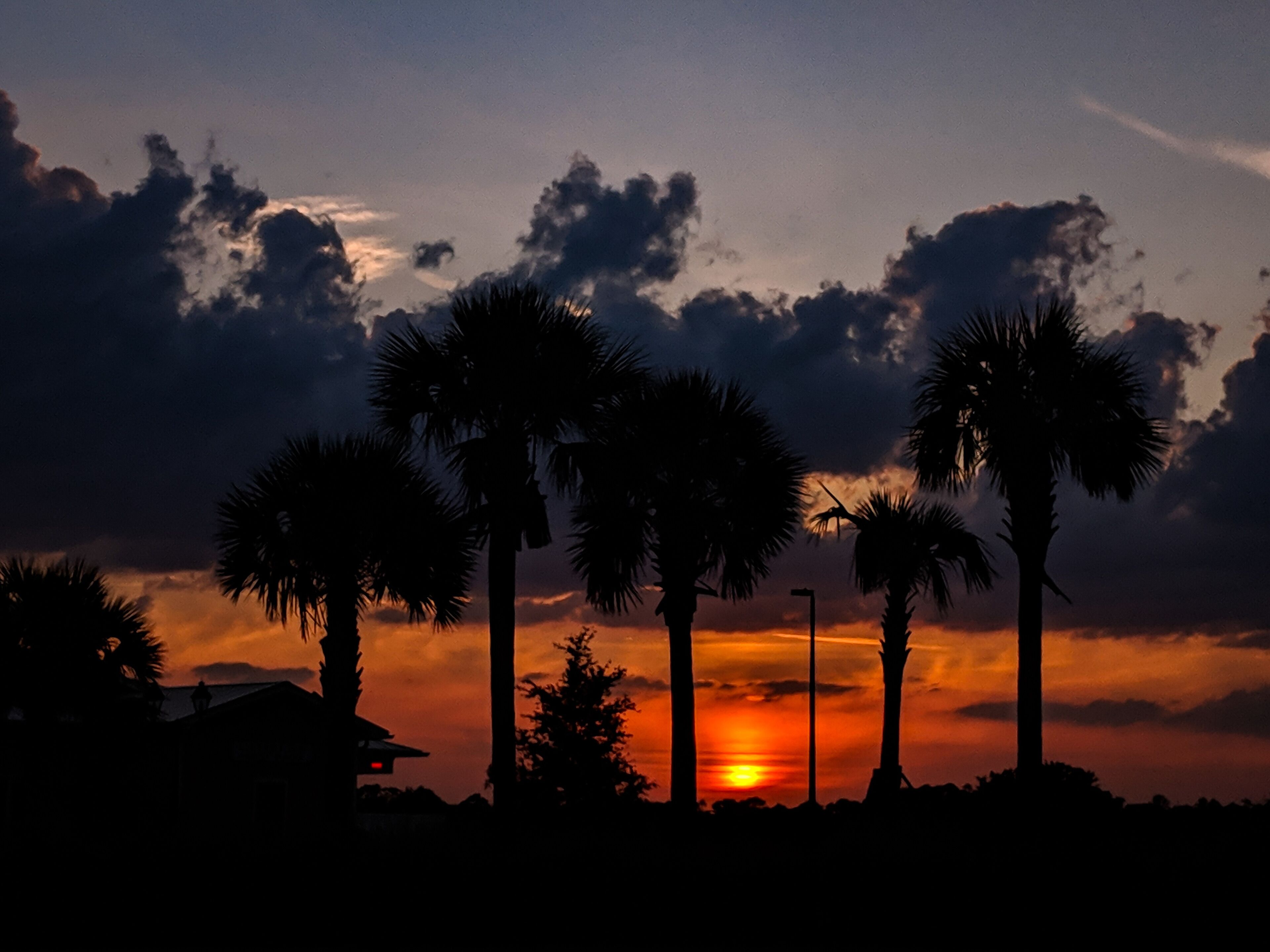Caught this beautiful sunset from a grocery store parking lot