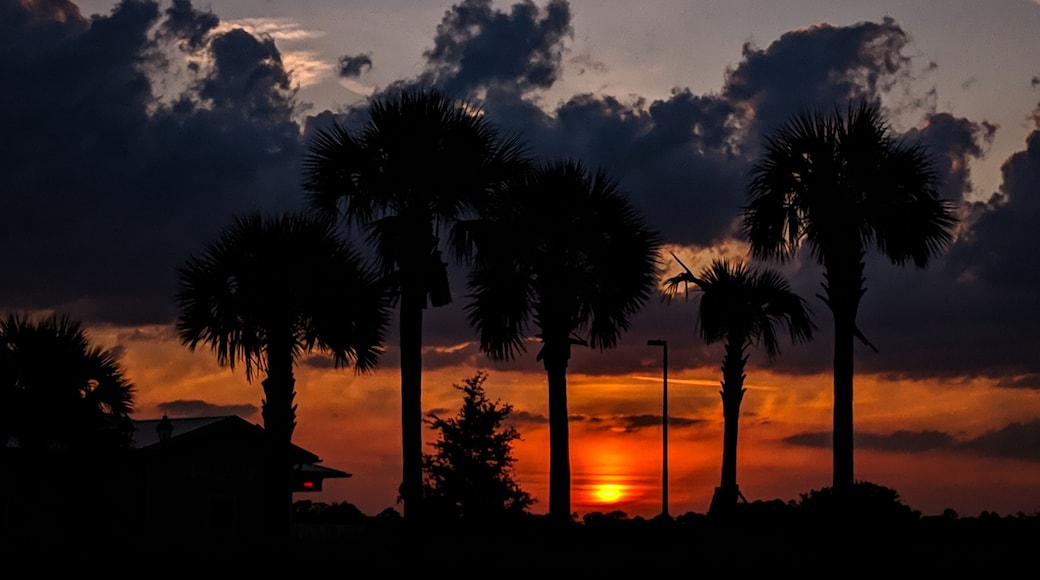 Caught this beautiful sunset from a grocery store parking lot