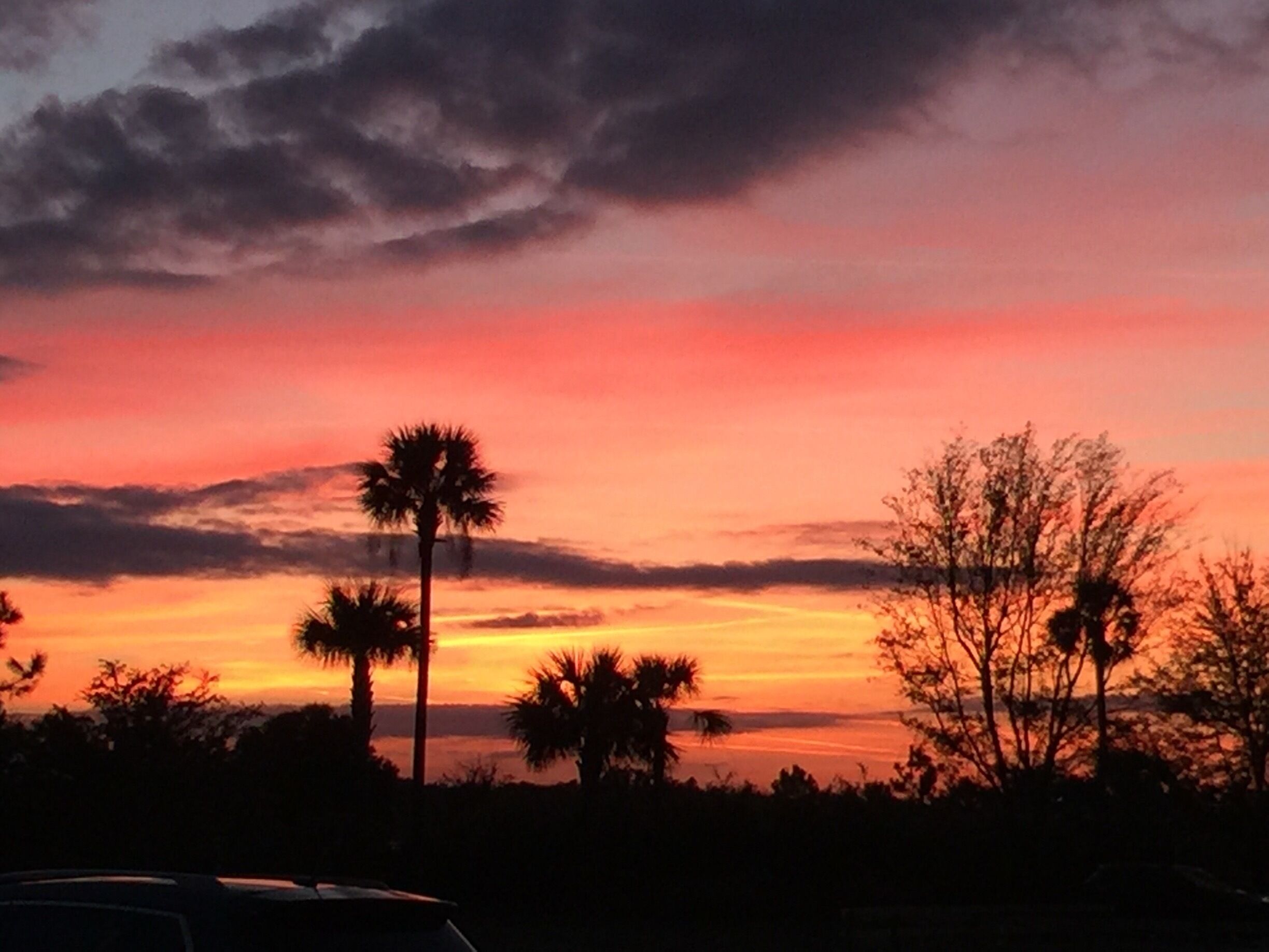 spectacular sunset in central Florida 
